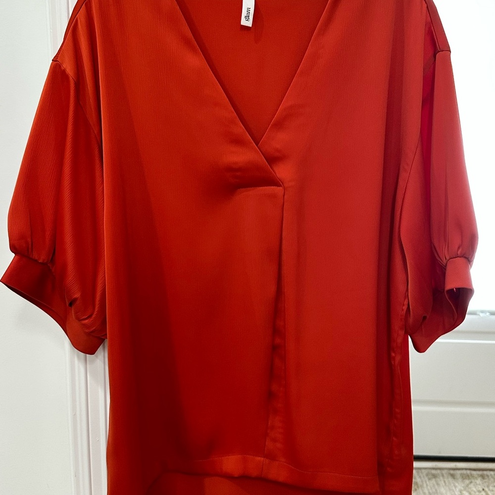 Glam Bold Burnt Orange V-Neck Blouse